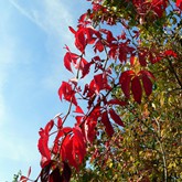 (2007-10) 21 - Bayreuth - Herbst